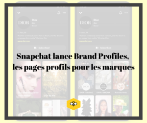 Brand Profiles Snapchat