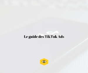 Guide TikTok Ads