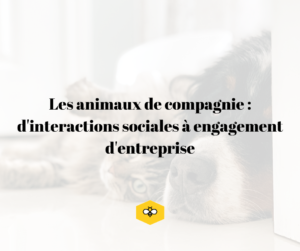 marketing animaux compagnie